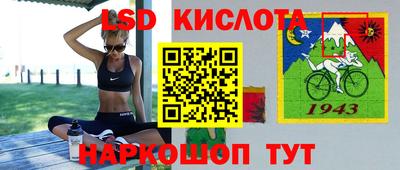 прущие грибы Шебекино