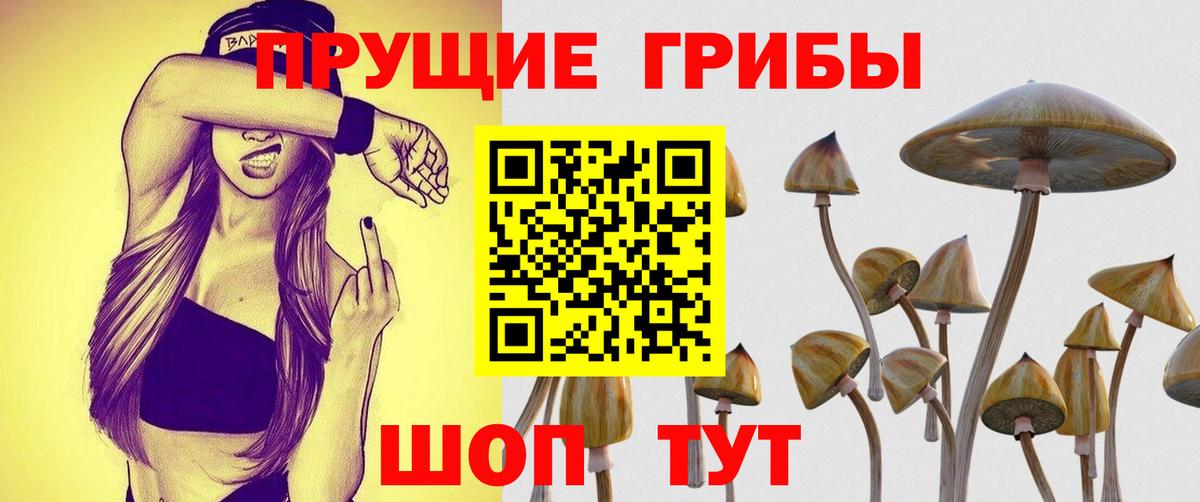 Галлюциногенные грибы GOLDEN TEACHER Малоярославец