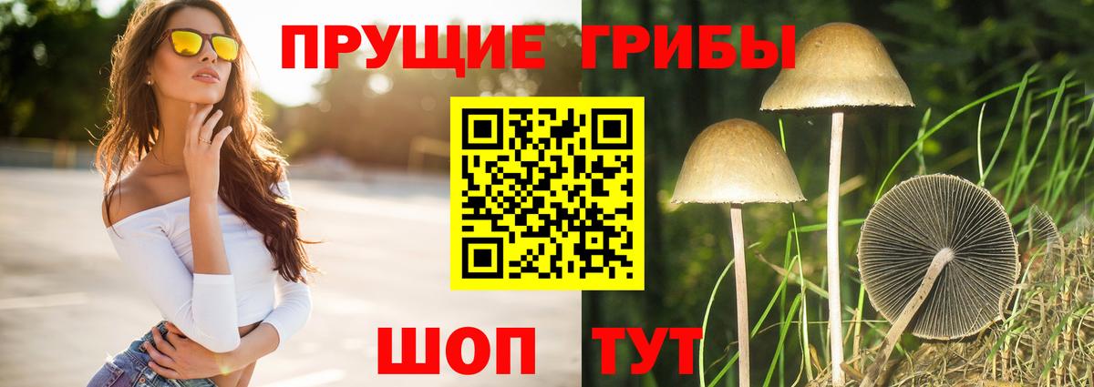 Малоярославец  Псилоцибиновые грибы мицелий  Вход с VPN 